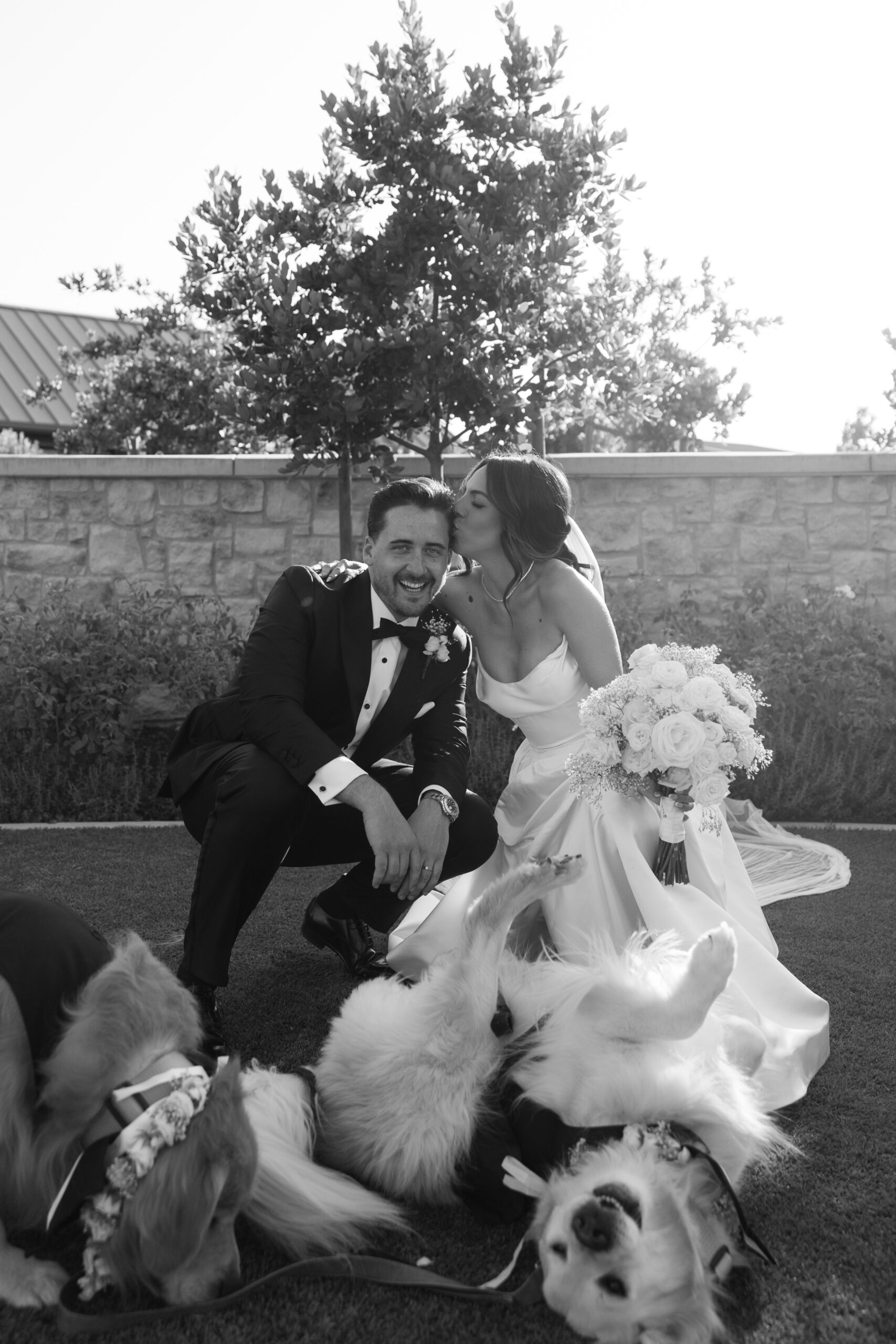 Black and white photo of bride and groom posing with their dogs