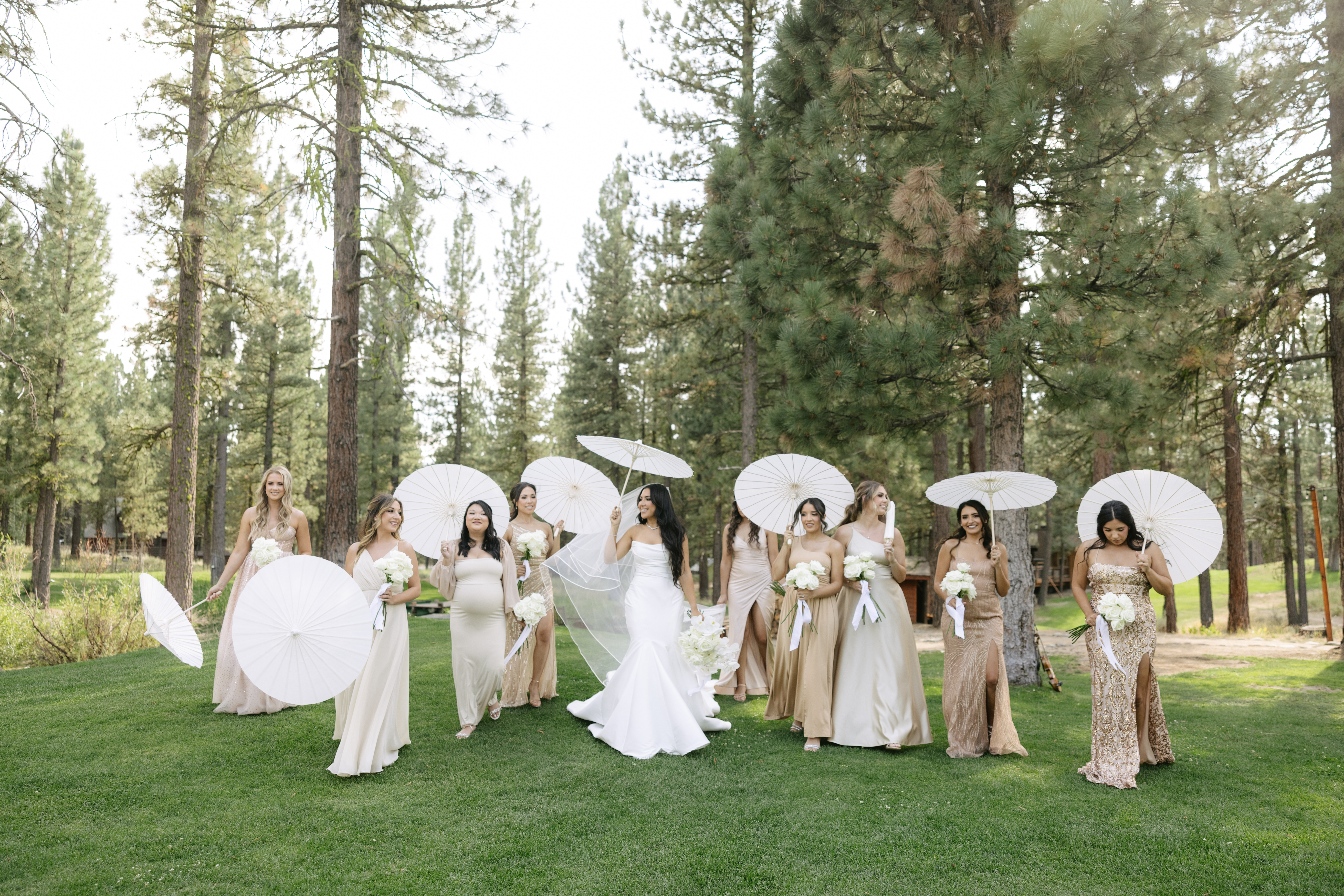 Bridal party photo of bride and bridesmaids with parasols