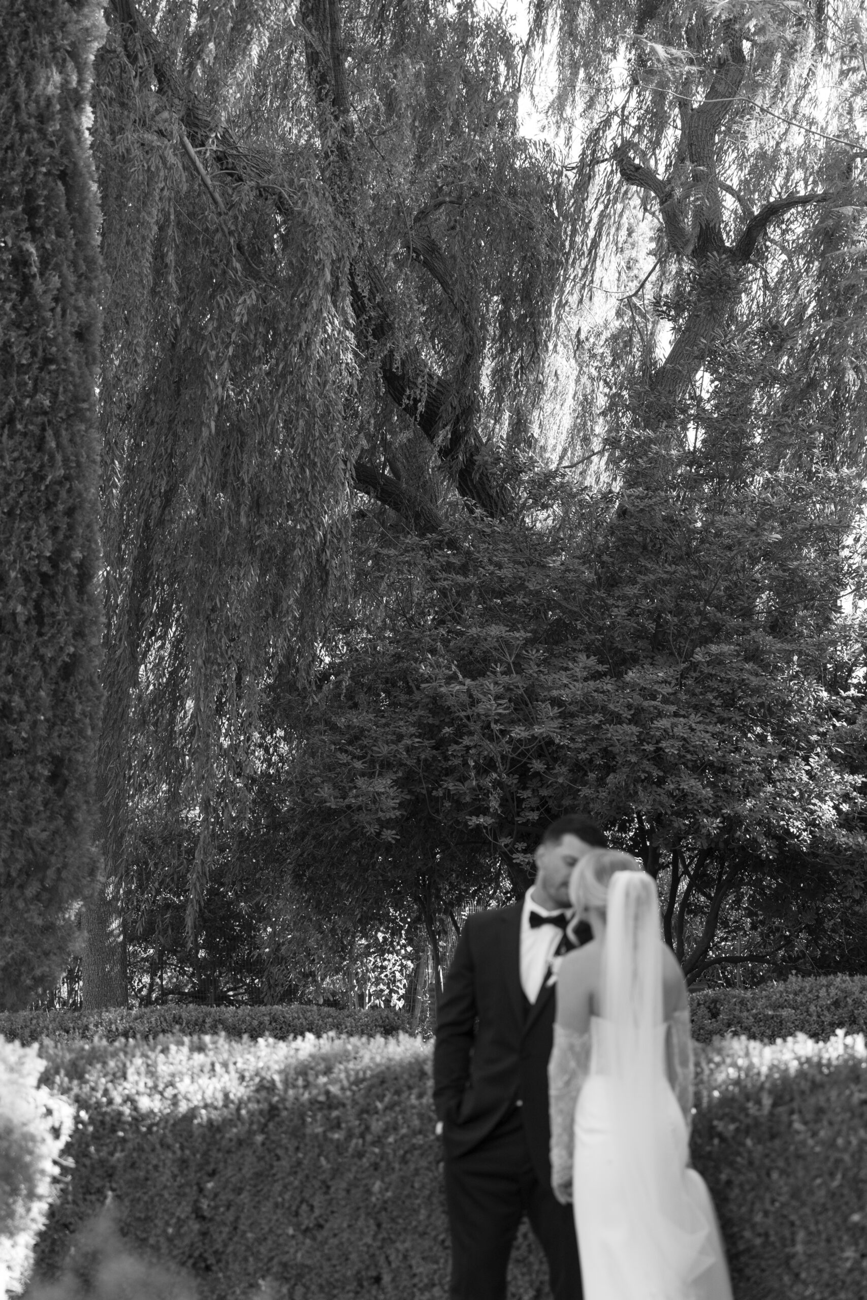 A couple kissing in the gardens at Park Winters