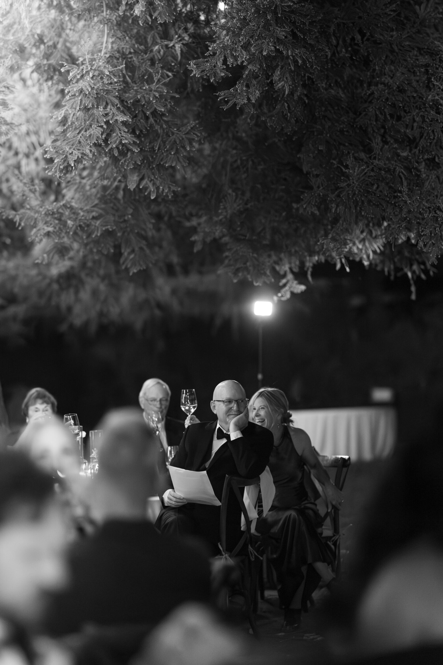 Wedding guests wathcing toasts at a PArk winters wedding